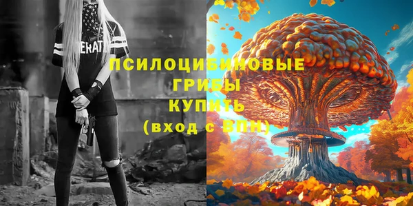 дурь Абинск