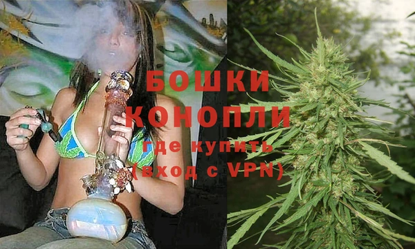 прущие грибы Остров